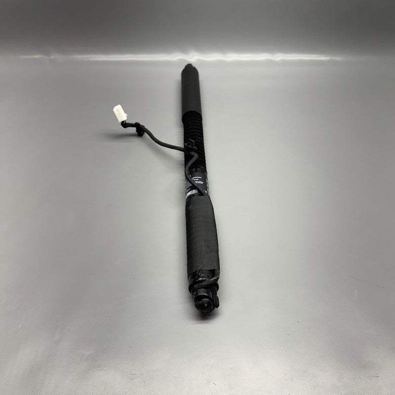 1063440-00-D TESLA MODEL X DOOR STRUT SHOCK REAR 2016 2017 2018 2019 2020 OEM 1063440-00-D