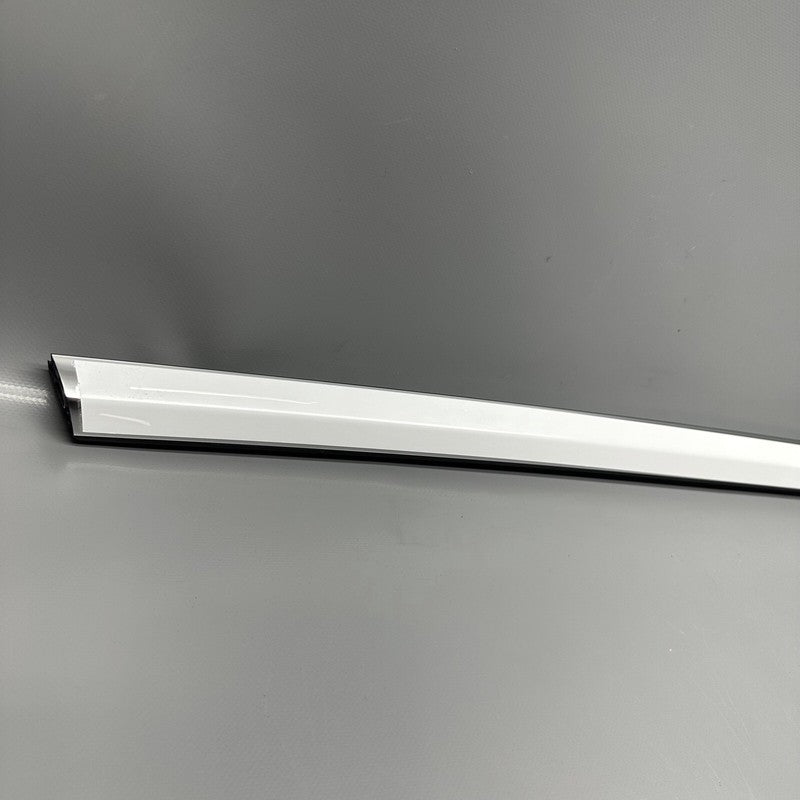 1080684-00-H TESLA MODEL 3 DOOR WINDOW BELT 2017 2018 2019 2020 2021 2022 OEM 1080684-00-H