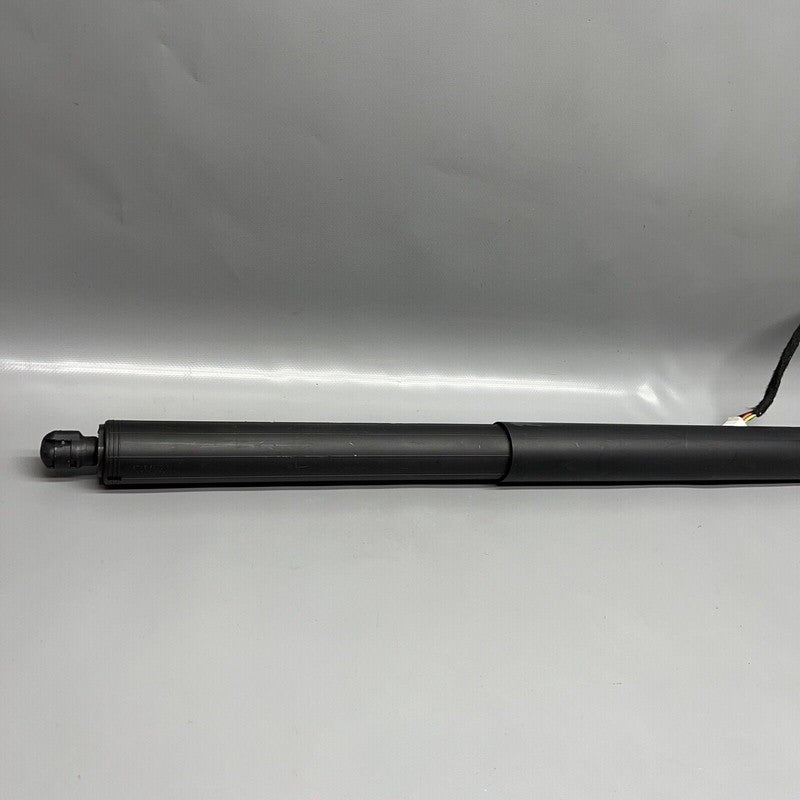 1065664-00-B TESLA MODEL X LIFT GATE SHOCK STRUT LEFT 2016 2017 2018 19 2020 OEM 1065664-00-B