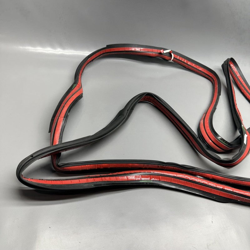 1032469-75-C TESLA MODEL X PRIMARY DOOR SEAL LEFT REAR 2016 17 18 19 2020 OEM 1032469-75-C