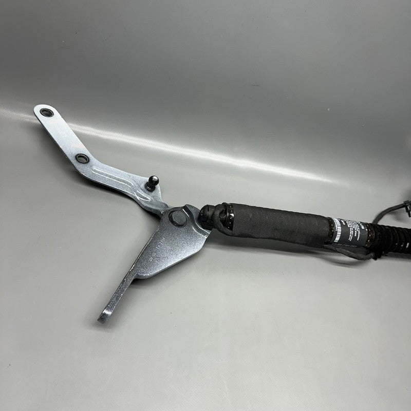 1063440-00-D TESLA MODEL X DOOR SHOCK STRUT REAR 2016 2017 2018 2019 2020 OEM 1063440-00-D