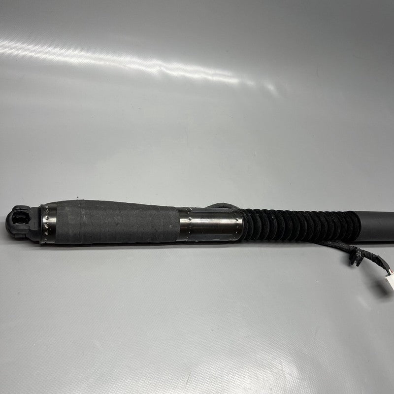 1063440-01-F TESLA MODEL X DOOR STRUT SHOCK REAR 2016 2017 2018 2019 20 2021 OEM 1063440-01-F