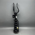 TESLA MODEL Y SHOCK STRUT COIL LEFT FRONT 2020 2021 2022 2023 OEM 1188