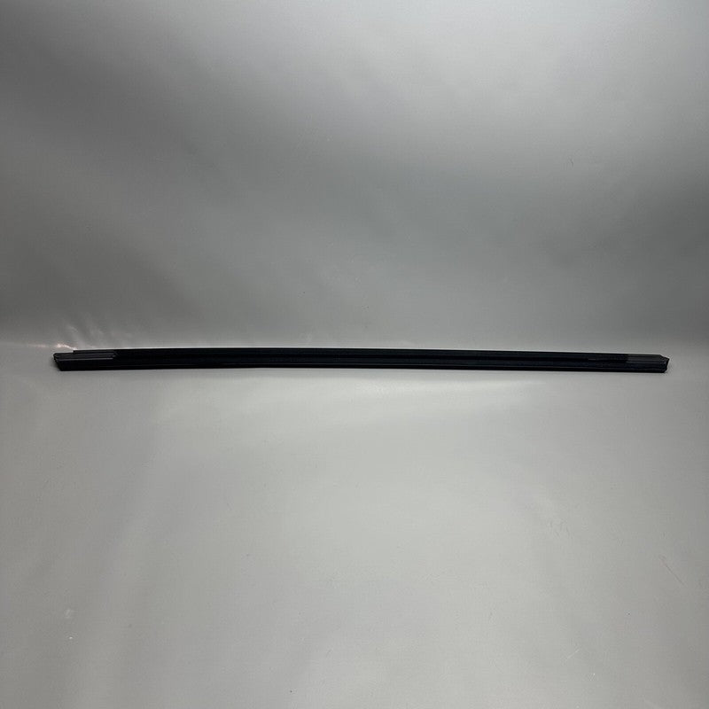 TESLA MODEL Y DOOR WINDOW BELT RIGHT REAR 2020 2021 2022 2023 OEM 