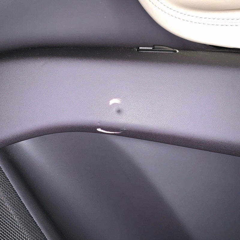 1055483-22-C TESLA MODEL X RIGHT FRONT DOOR PANEL 2016 2017 2018 2019 OEM