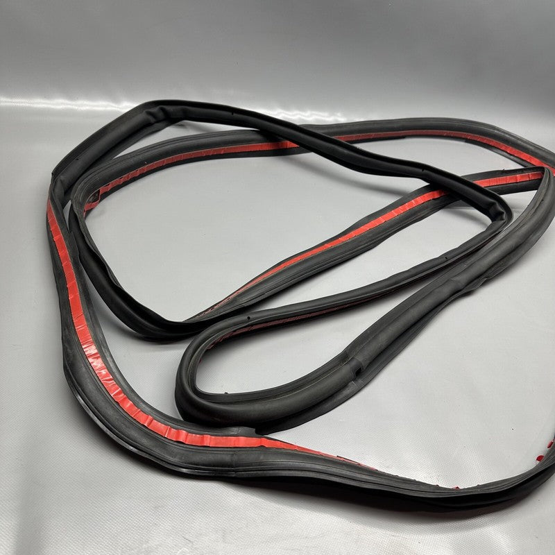 1032469-00-C TESLA MODEL X PRIMARY DOOR SEAL LEFT REAR 2016 17 18 19 2020 OEM 1032469-00-C