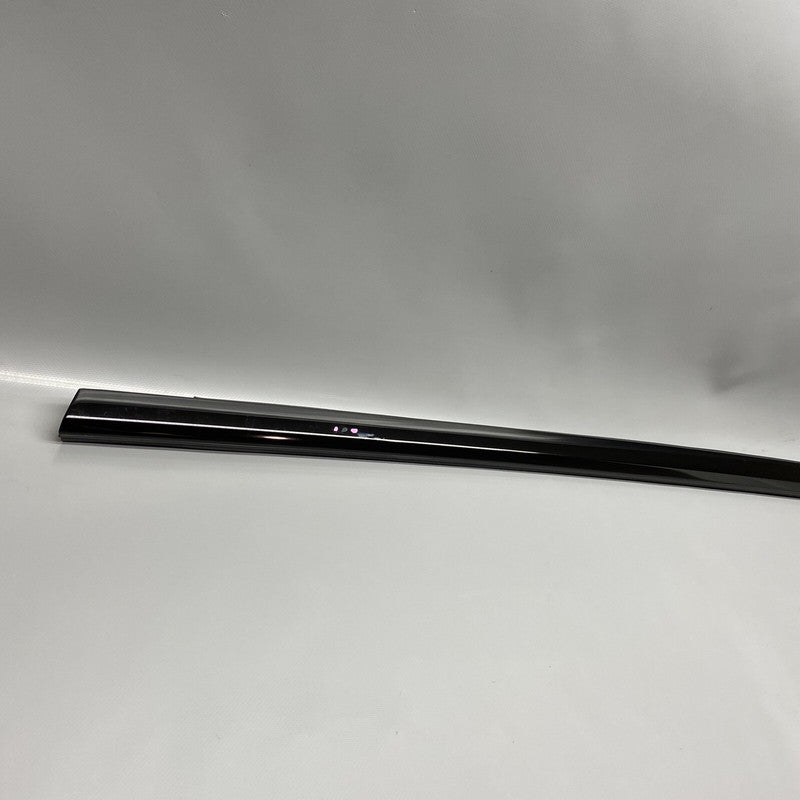 1600171-00 TESLA MODEL S PLAID DOOR OUTER BELT LEFT FRONT 2021 2022 2023 OEM 