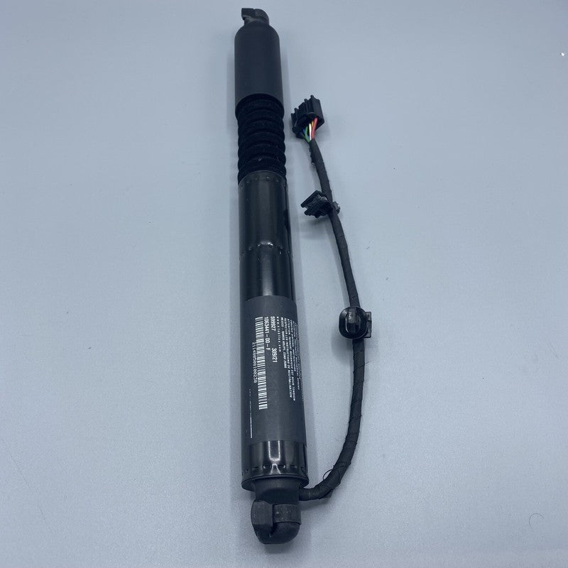 TESLA MODEL X LIFTGATE SHOCK STRUT REAR 2016 2017 2018 2019 2020 OEM