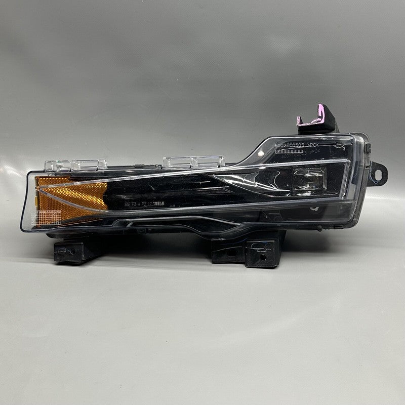 1077391-00-C TESLA MODEL 3 FOG LIGHT LEFT DRIVER 2017 2018 2019 2020 OEM 1077391-00-C