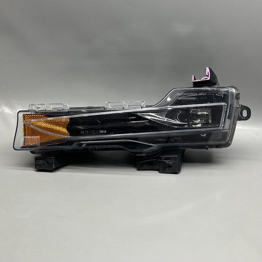 1077391-00-C TESLA MODEL 3 FOG LIGHT LEFT DRIVER 2017 2018 2019 2020 OEM 1077391-00-C
