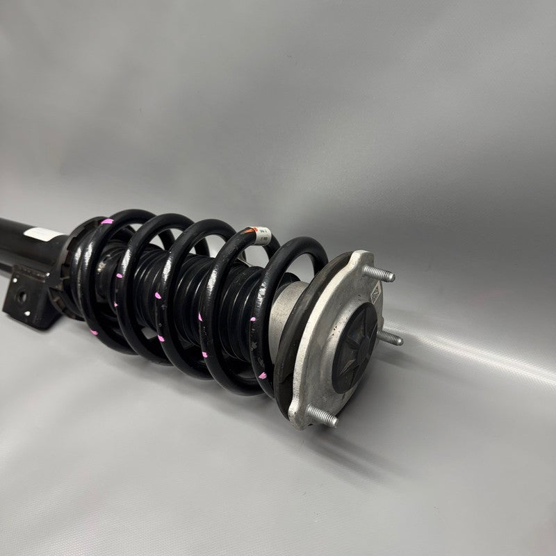 TESLA MODEL 3 SHOCK STRUT RIGHT FRONT 2017 2018 2019 2020 2021 OEM 104