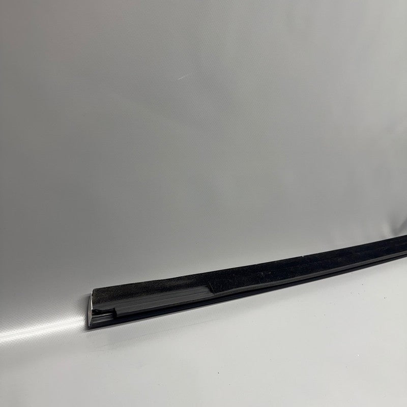 TESLA MODEL 3 DOOR WINDOW MOLDING LEFT REAR 2017 2018 2019 2020 OEM 10