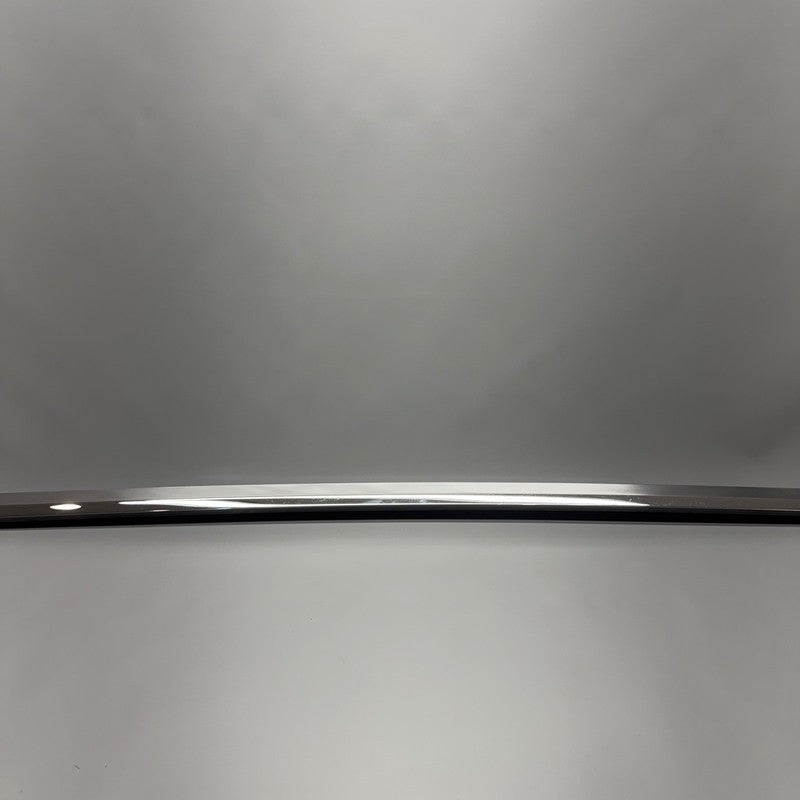TESLA MODEL X DOOR WINDOW MOLDING LEFT REAR 2016 2017 2018 2019 2020 O