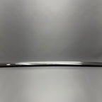 TESLA MODEL X DOOR WINDOW MOLDING LEFT REAR 2016 2017 2018 2019 2020 O