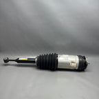 TESLA MODEL X AIR SHOCK STRUT REAR 2016 2017 2018 2019 2020 OEM 102746