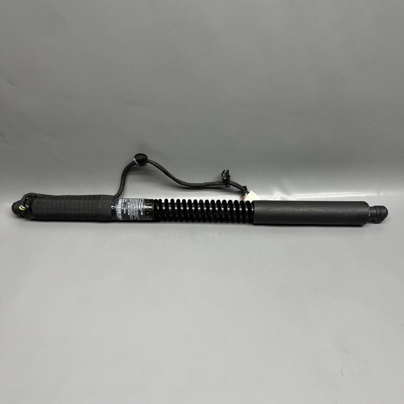 1063440-01-D TESLA MODEL X DOOR SHOCK STRUT REAR 2016 2017 2018 2019 2020 OEM 1063440-01-D