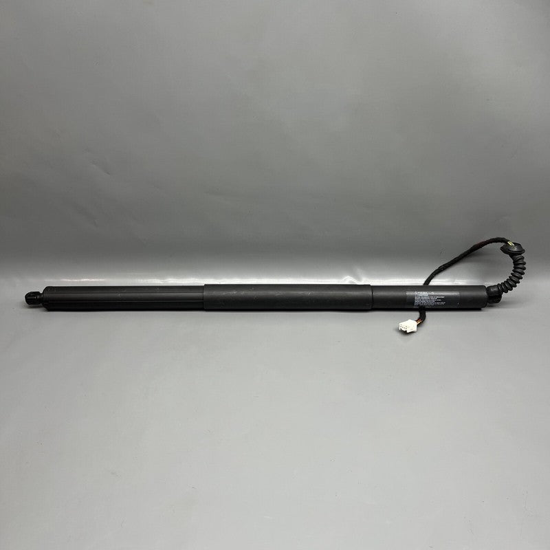 1065664-00-A TESLA MODEL X LIFT GATE SHOCK STRUT LEFT 2016 2017 2018 19 2020 OEM 1065664-00-A