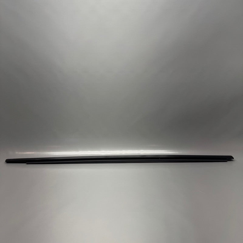 TESLA MODEL X DOOR MOLDING TRIM RIGHT FRONT 2016 2017 2018 2019 2020 O
