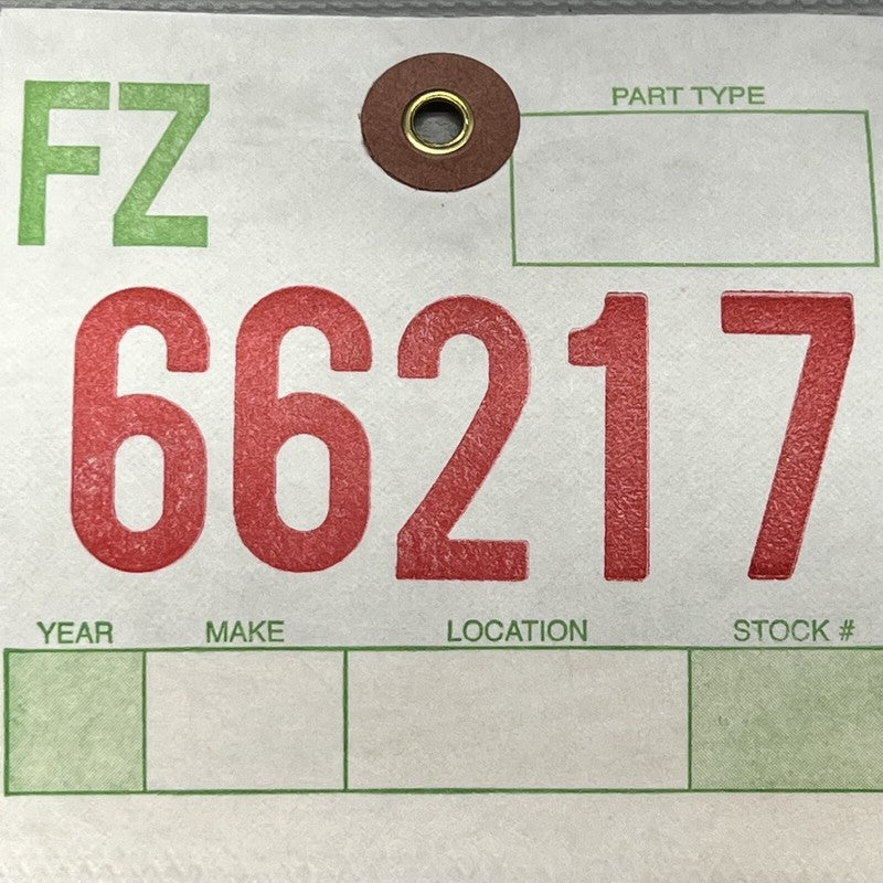 1096829-00-G TESLA MODEL 3 LICENSE PLATE BRACKET FRONT 2017 2018 2019 2020 2021 OEM