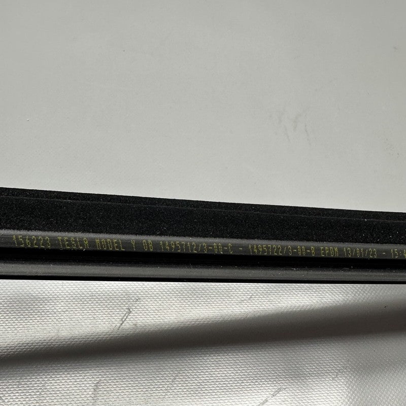 TESLA MODEL Y DOOR WINDOW BELT RIGHT REAR 2020 2021 2022 2023 OEM 