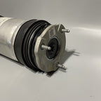 1027461-00-G TESLA MODEL X AIR SPRING STRUT SHOCK REAR 2017 2018 2019 OEM 1027461-00-G 