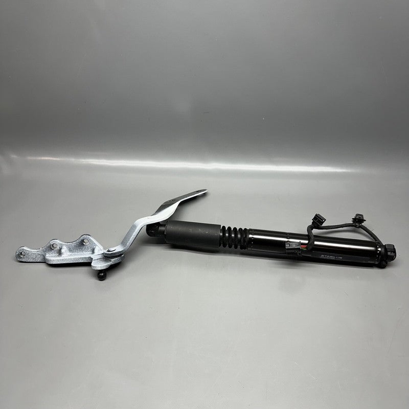 1063441-00-C TESLA MODEL X DOOR STRUT SECONDARY 2016 2017 2018 2019 2020 OEM 1063441-00-C