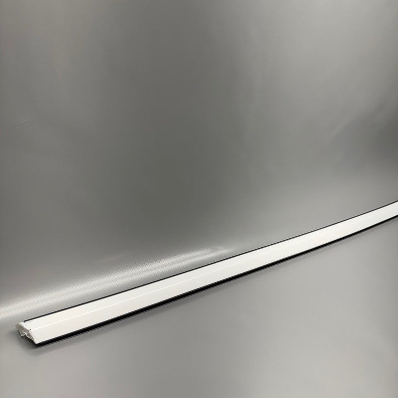 TESLA MODEL 3 DOOR WINDOW BELT MOLDING RIGHT FRONT 2017-2019 2020 2021