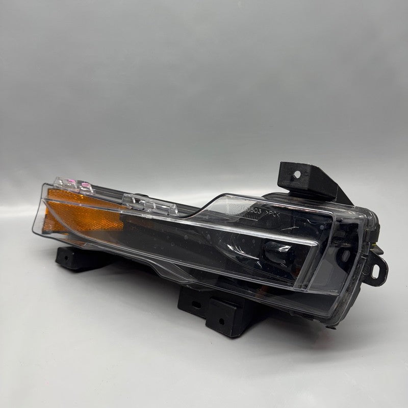 1007389-00-F TESLA MODEL 3 FOG LIGHT LEFT DRIVER 2017 2018 2019 2020 2021 2022 2023 OEM
