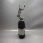TESLA MODEL X AIR SHOCK ABSORBER STRUT FRONT 2016 2017 2018 2019 2020 