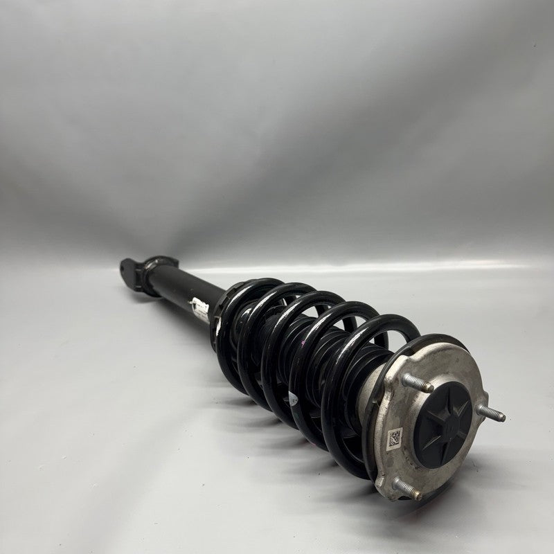 TESLA MODEL 3 SHOCK STRUT LEFT FRONT 2017 2018 2019 2020 2021 OEM RWD