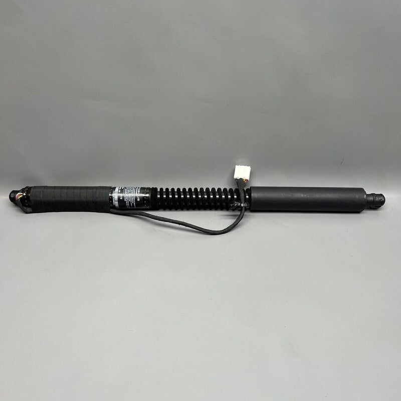 1063440-00-D TESLA MODEL X DOOR SHOCK STRUT REAR 2016 2017 2018 2019 2020 OEM 1063440-00-D