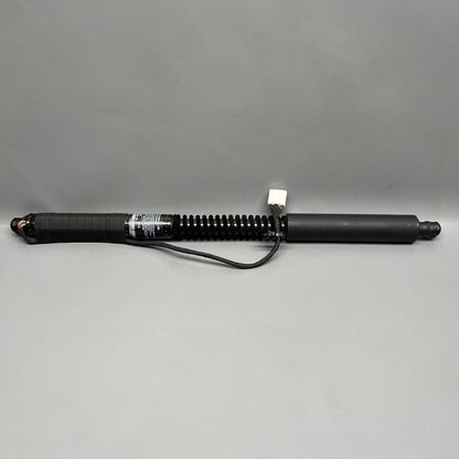 1063440-00-D TESLA MODEL X DOOR SHOCK STRUT REAR 2016 2017 2018 2019 2020 OEM 1063440-00-D