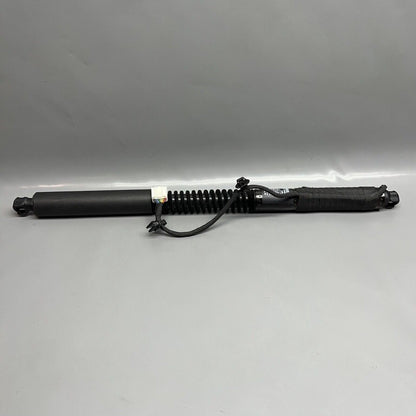 1063440-01-D TESLA MODEL X DOOR STRUT SHOCK REAR 2016 2017 2018 2019 2020 OEM 1063440-01-D