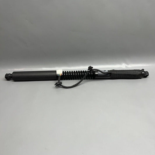 1063440-01-D TESLA MODEL X DOOR STRUT SHOCK REAR 2016 2017 2018 2019 2020 OEM 1063440-01-D