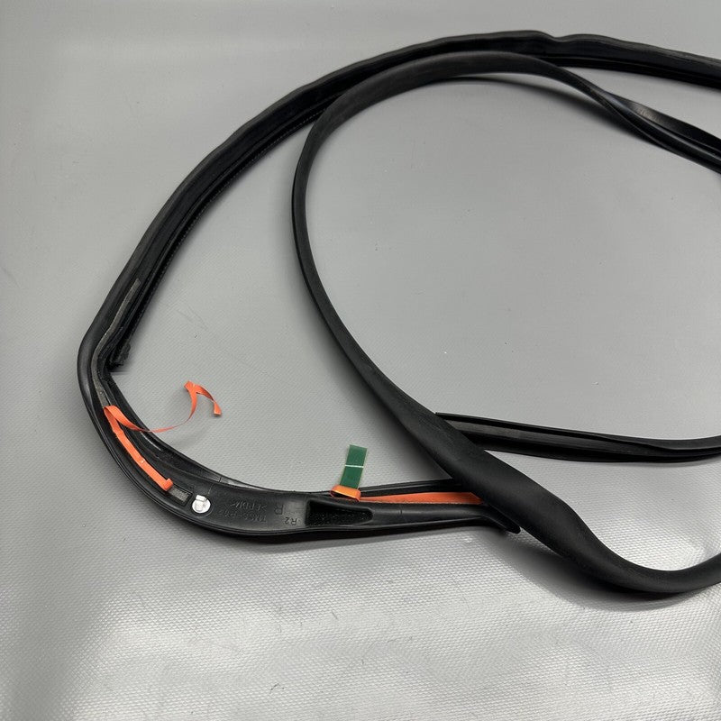 6009588-00-D TESLA MODEL S RIGHT REAR BODY SEAL 2012 13 14 15 16 17 18 19 2020 6009588-00-D