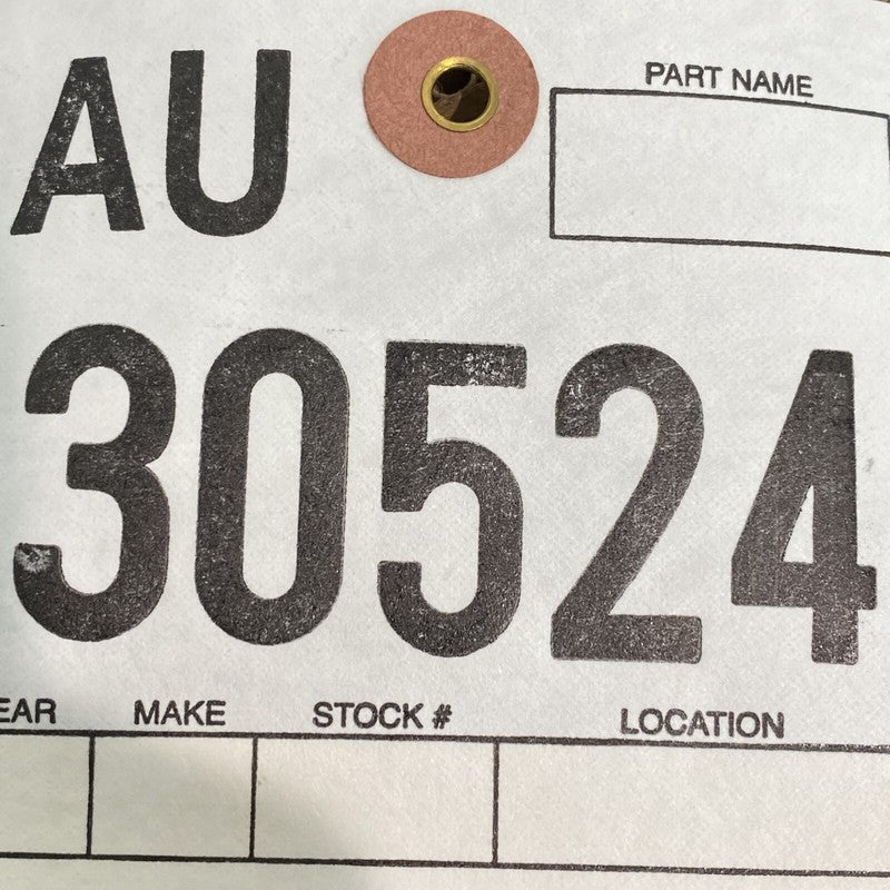 MODEL 3 TESLA MODEL 3 DOOR LEFT REAR 2017 2018 2019 2020 2021 2022 OEM