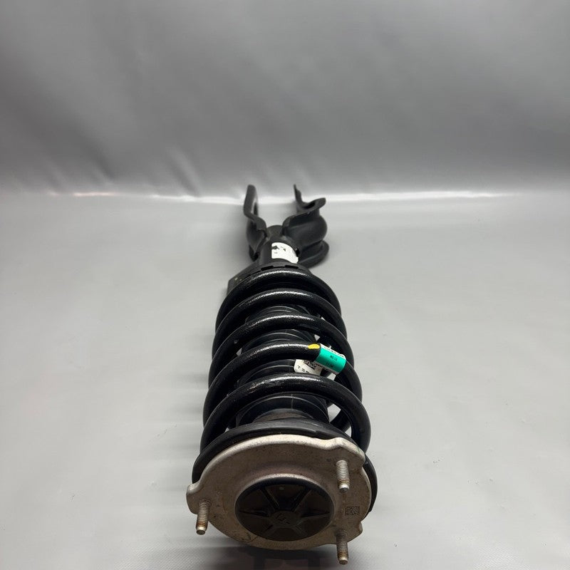 TESLA MODEL 3 SHOCK STRUT RIGHT FRONT 2017 2018 2019 2020 2021 OEM 118