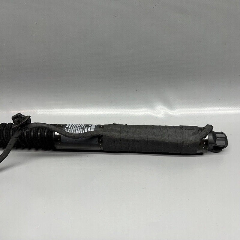 1063440-01-D TESLA MODEL X DOOR STRUT SHOCK REAR 2016 2017 2018 2019 2020 OEM 1063440-01-D