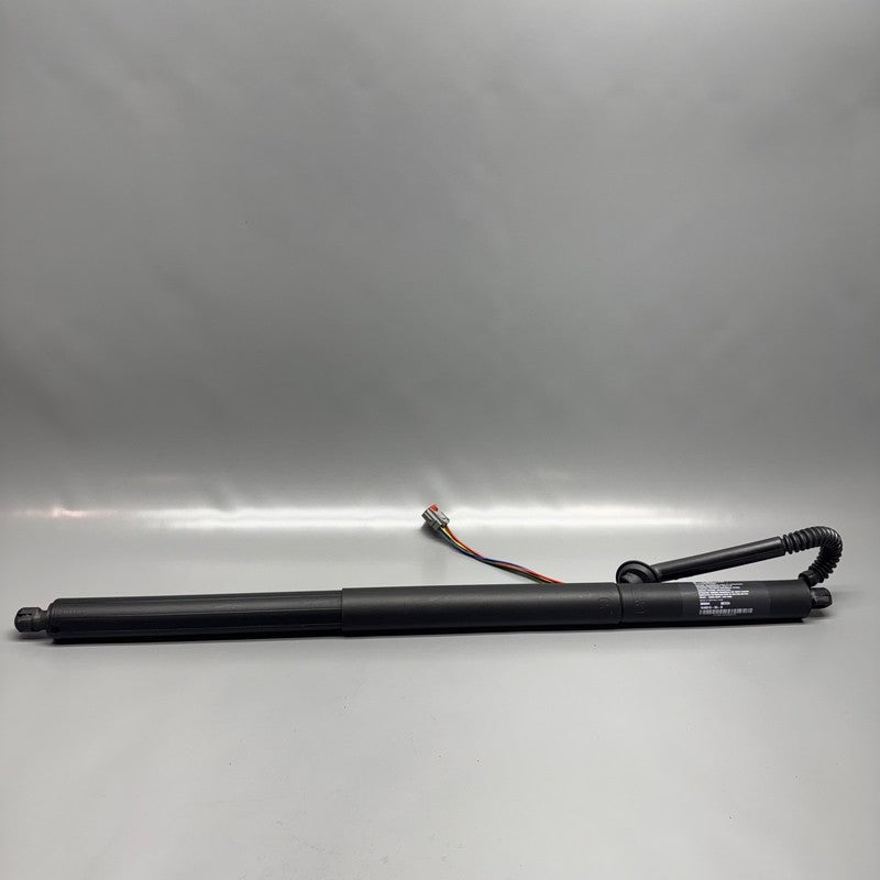 TESLA MODEL S LIFT GATE STRUT RIGHT REAR 2021 2022 2023 OEM 1648016-00