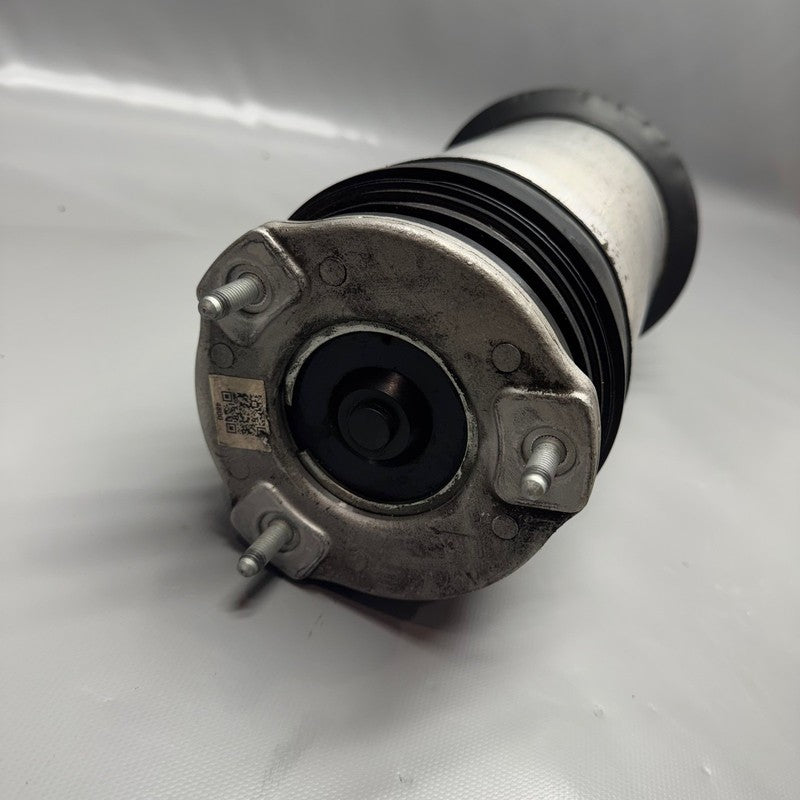 TESLA MODEL X AIR SHOCK STRUT REAR 2016 2017 2018 2019 2020 OEM 102746