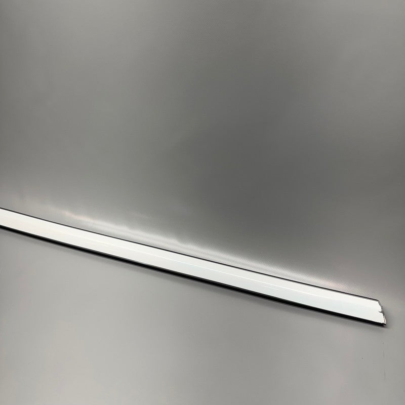 TESLA MODEL 3 DOOR WINDOW BELT MOLDING RIGHT FRONT 2017-2019 2020 2021