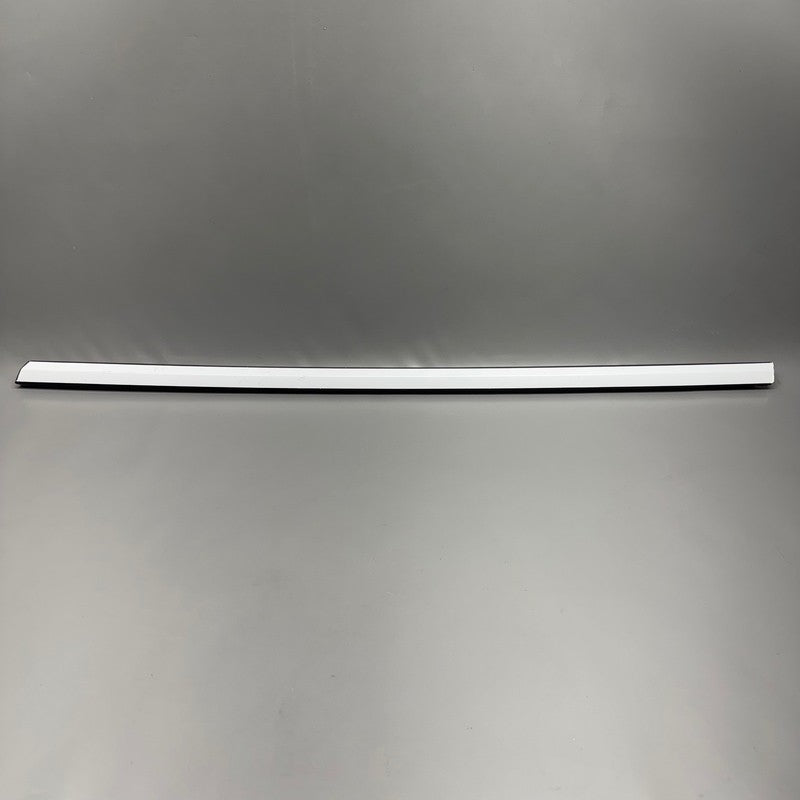 1080681-00-H TESLA MODEL 3 DOOR BELT MOLDING 2017 2018 2019 2020 2021 2022 2023 2024 2025 OEM