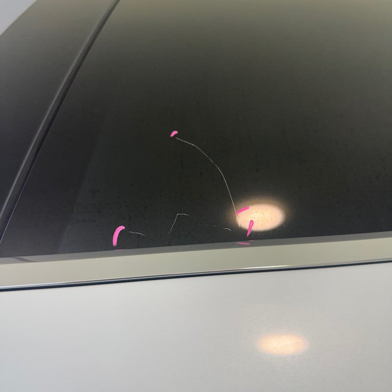 TESLA MODEL X DOOR FALCON LEFT REAR 2016 2017 2018 2019 2020 OEM 10287