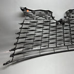 53111-OE400 LEXUS RX350 GRILLE 2023 2024 2025 OEM 53111-0E400