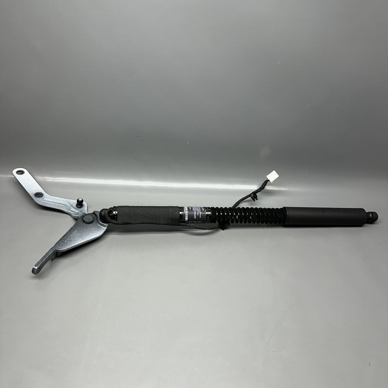 1063440-00-D TESLA MODEL X DOOR SHOCK STRUT REAR 2016 2017 2018 2019 2020 OEM 1063440-00-D