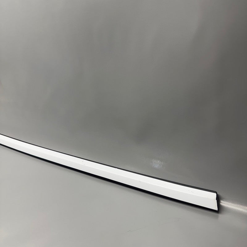 TESLA MODEL 3 DOOR WINDOW MOLDING LEFT REAR 2017 2018 2019 2020 OEM 10