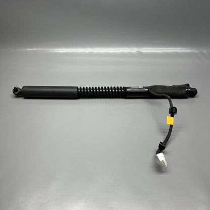 1063440-01-F TESLA MODEL X DOOR STRUT SHOCK REAR 2016 2017 2018 2019 20 2021 OEM 1063440-01-F