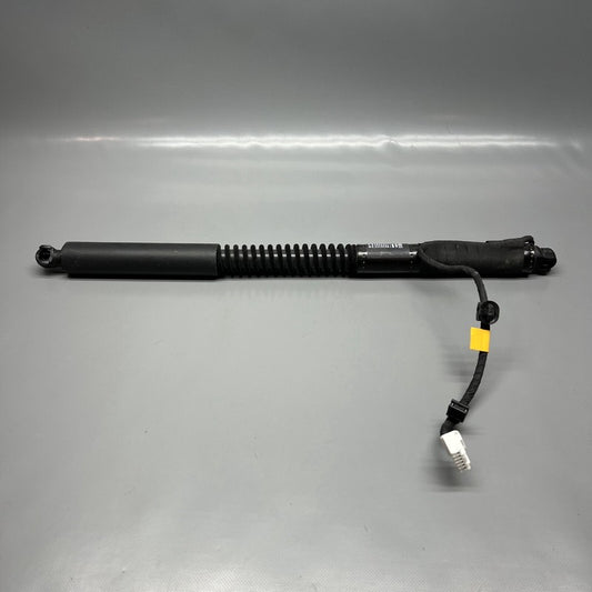 1063440-01-F TESLA MODEL X DOOR STRUT SHOCK REAR 2016 2017 2018 2019 20 2021 OEM 1063440-01-F
