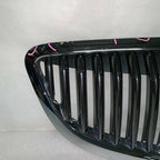 20828544 BUICK ENCLAVE GRILLE 2008 2009 2010 2011 2012 OEM