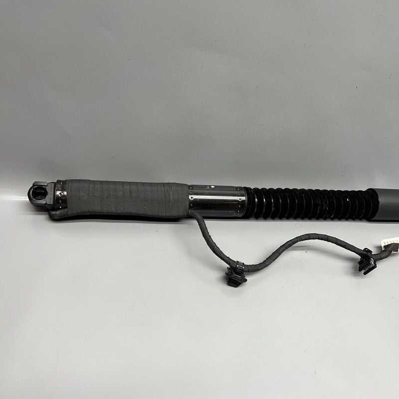 1063440-01-D TESLA MODEL X DOOR SHOCK STRUT REAR 2016 2017 2018 2019 2020 OEM 1063440-01-D